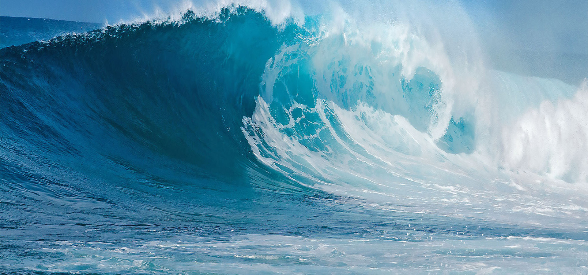 Ԫ����������bwin��Ӯ